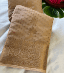 Banarasi Georgette Saree - VBS3