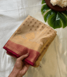 Banarasi Georgette Saree - VBS1