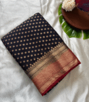 Banarasi Georgette Saree - SB19