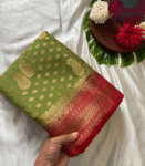 Banarasi Georgette Saree - SB20